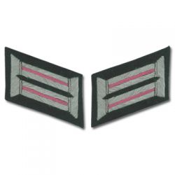 Army Officer Collar Tabs - Panzer - Pink