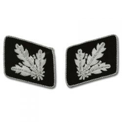 SS Officer Bullion Collar Tabs - Brigadefuhrer